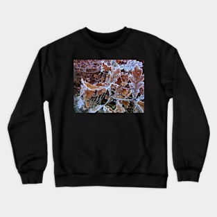 Oak leaves in frost Crewneck Sweatshirt